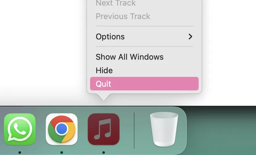 Is Apple Music Down? How to Fix it