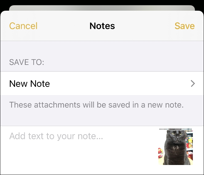 how to hide videos on iPhone