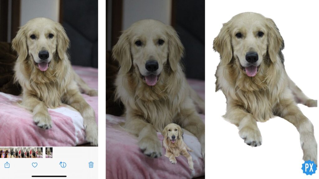 Remove Background from Pictures in iOS 16