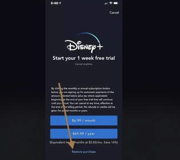 What Does Restore Purchase Mean on iPhone