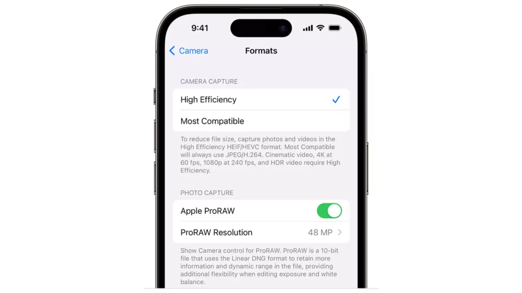 Toggling RAW option in iOS 17; What is Raw Max in iOS 17 - Get The Full Picture Here?